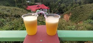 Two glasses of pineapple juice at the peak of the hill.