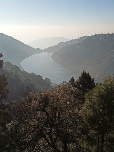 Lake view from top of the hill