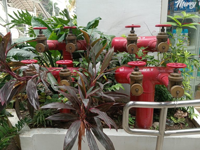 A cluster of red fire hydrant valves with brass fittings and red wheel handles, surrounded by tropical plants.