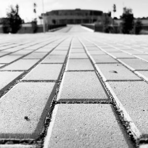 Black and white image. Brick path leading to infinity with blurred background.