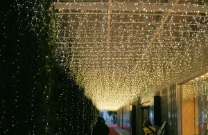 A walkway adorned with dense hanging string lights, creating a sparkling ceiling effect. The pathway is flanked by dark greenery on one side and a modern building facade on the other, with people walking beneath the illuminated canopy.