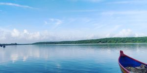 A tranquil scene unfolds on a calm, blue river under a partly cloudy sky, with a vibrant red and blue boat in the foreground and a lush green forest lining the opposite bank.
