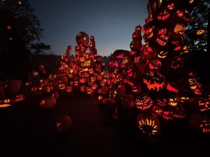 A display of pumpkins lit up at the Roger Williams Park Zoo Jack-O-Lantern Spectacular.