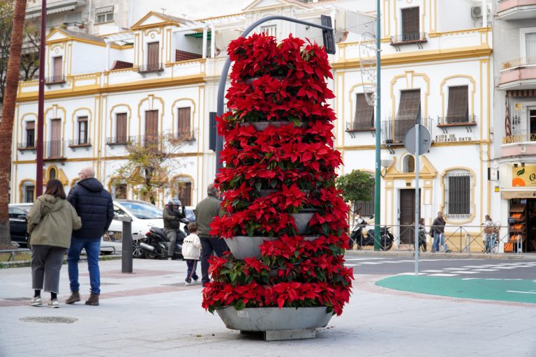 A street scene featuring a tall, tiered planter overflowing with vibrant red poinsettia plants. In the background, a few people are walking past, and there are several cars parked on the street.