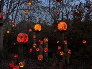 Dozens of pumpkins lit up and on display at the Roger Williams Park Zoo Jack-O-Lantern Spectacular.