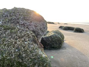 Small stone lying on golden sand at a sunlit beach. The sand is textured with natural ripples, and the sunlight enhances its warm tones.