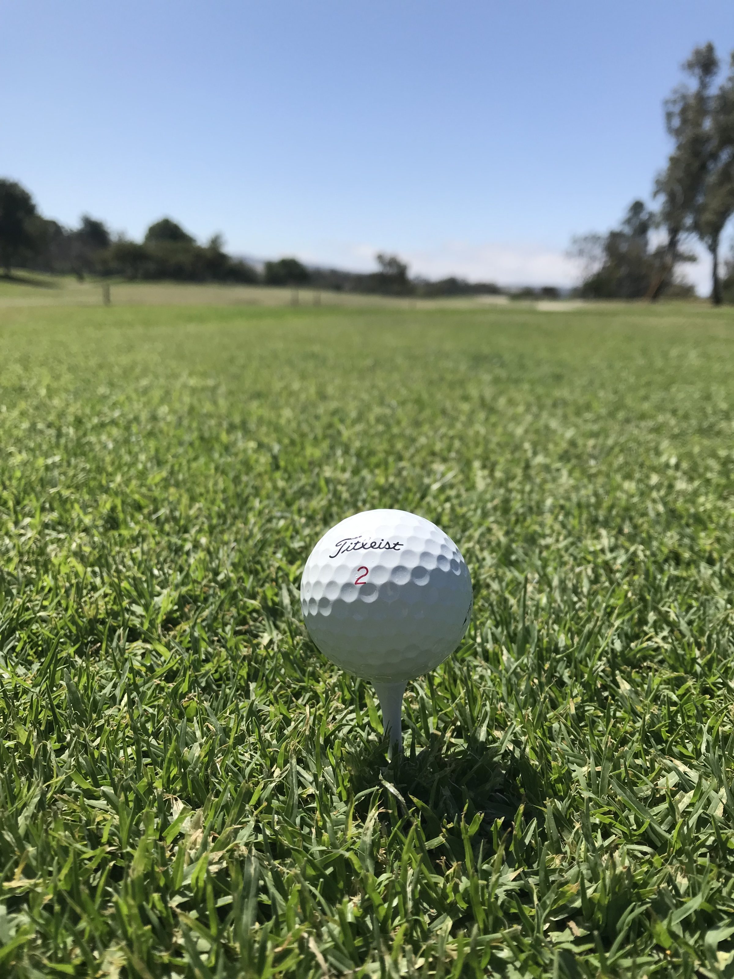 A Titleist #2 golf ball on a tee in a tee box.