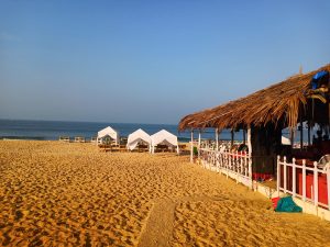 A sunny beach scene with golden sand and a clear blue sky. In the foreground is a rustic beach shack with a thatched roof and white fencing. Several white tents and sun loungers are set up along the shoreline. Baga Beach, Calangute, Goa