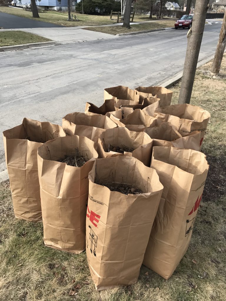 Several brown paper yard waste bags sit standing up, mostly full on a patch of dried grass alongside a cement curb and black asphalt road