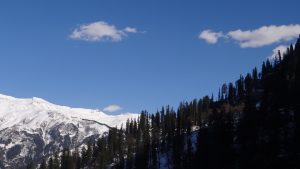 Snow Covering Mountain along with Forest