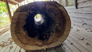 View through the center of a hollowed out tree log sitting on a wood house porch