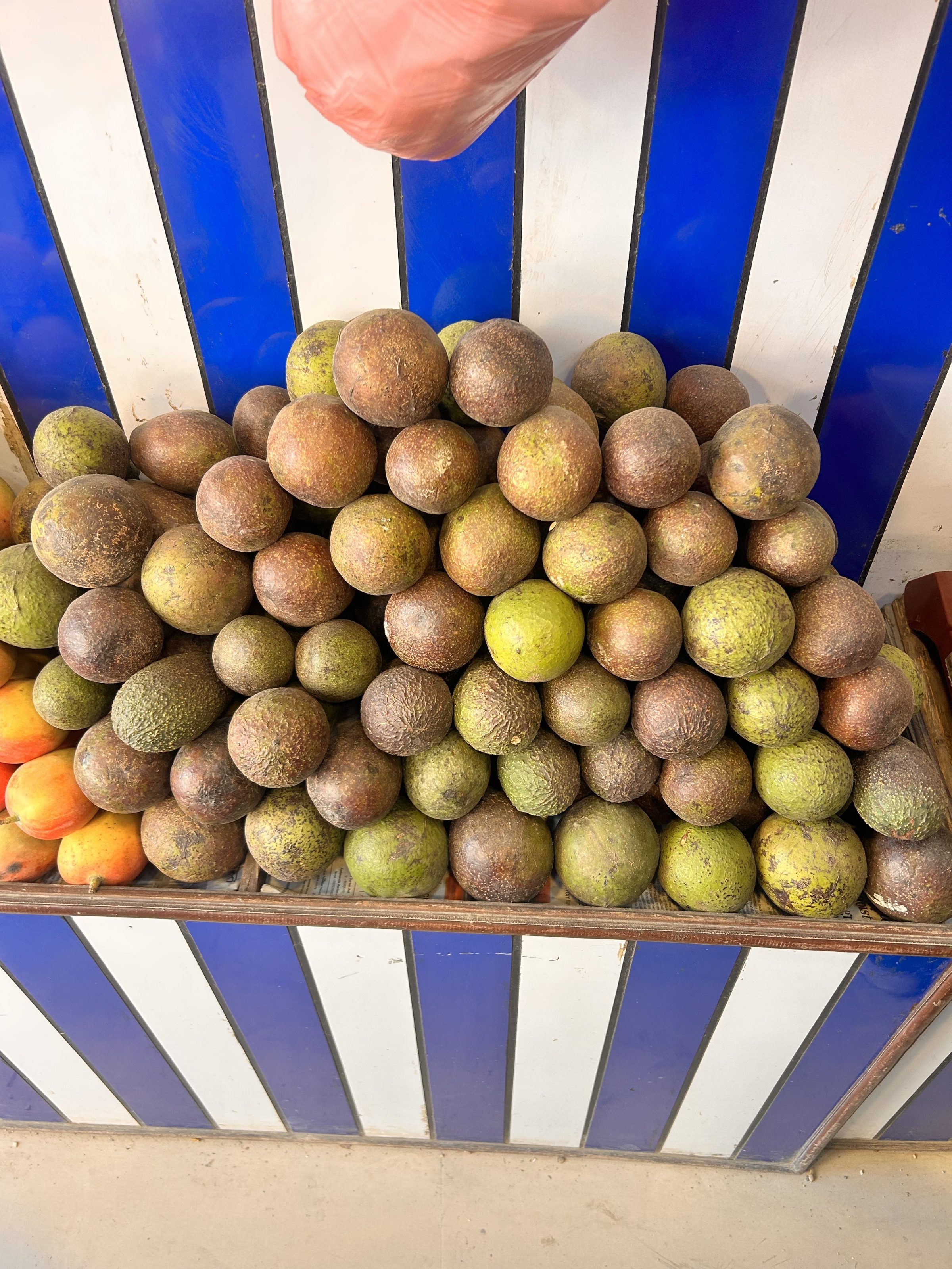 A large pile of brown and green avocados stacked on a striped blue and white stand, with a pink plastic bag hanging above.