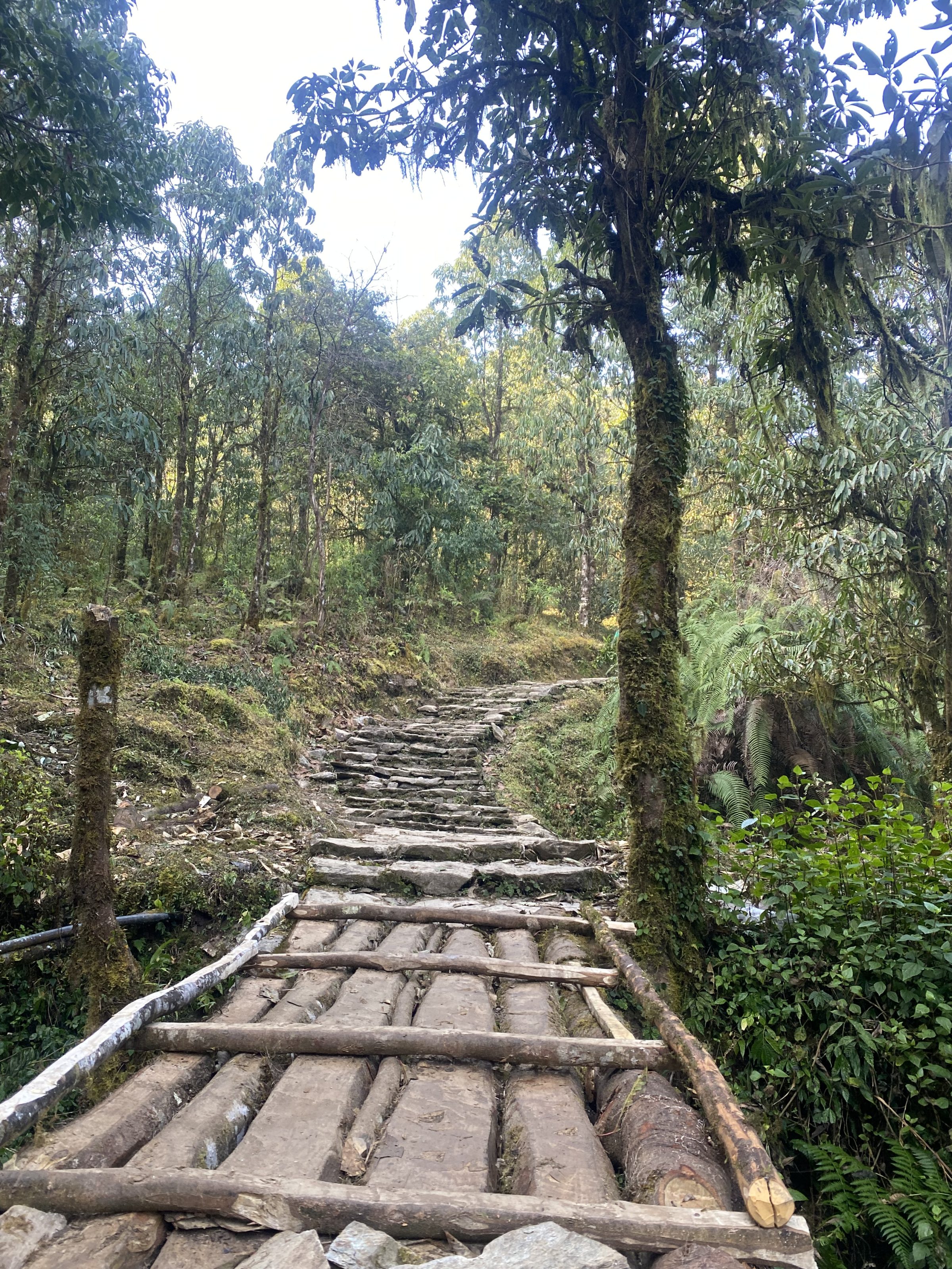 Small wooden bridge to bridge the trekking rout.