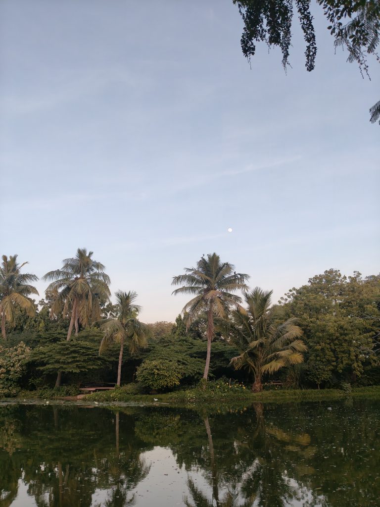 The picture shows a calm lake surrounded by green trees in the evening. The sky is light pastel colors, and a small crescent moon can be seen.