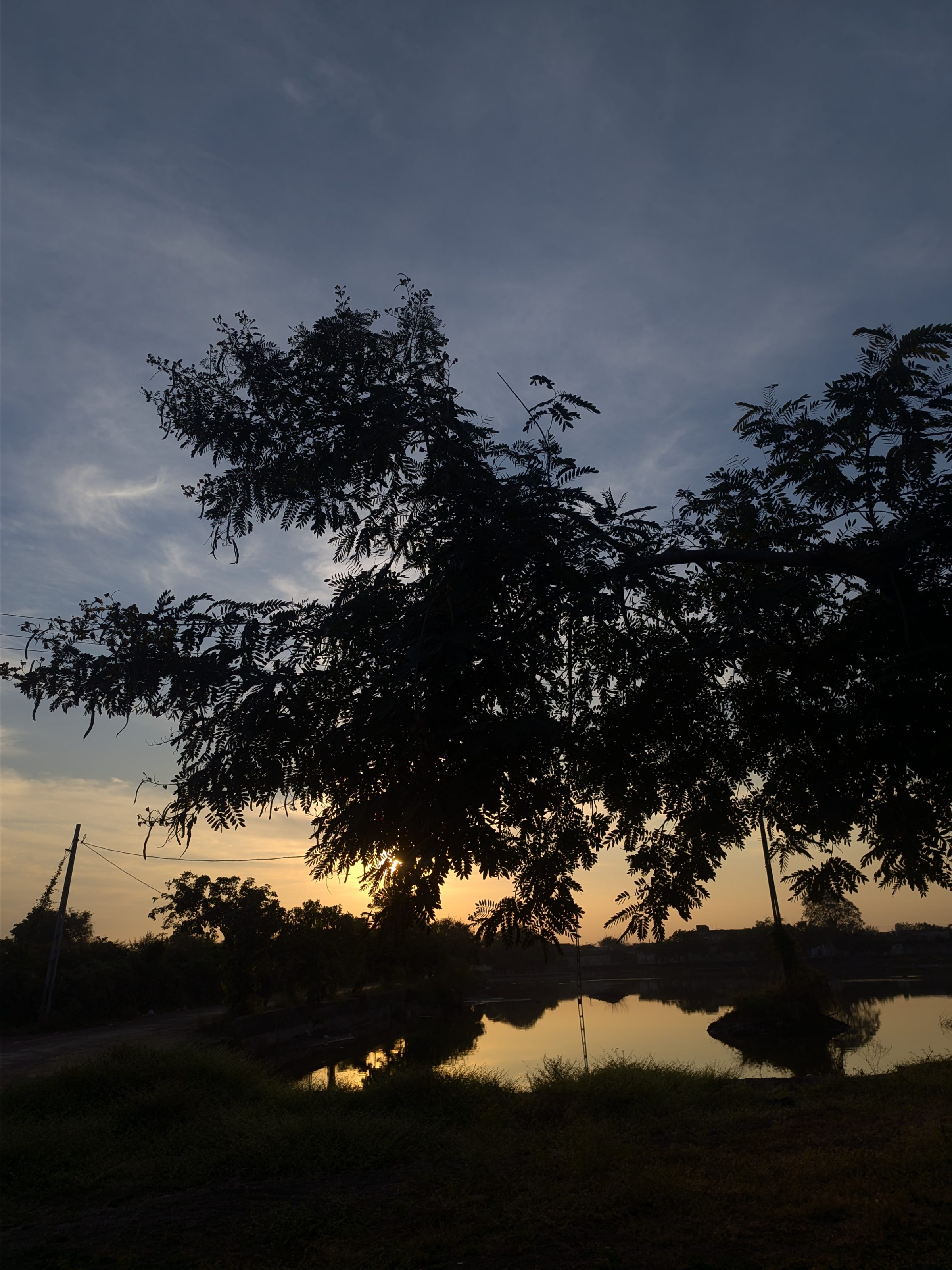 Silhouette of tree branches against a sunset sky, with the sun partially obscured by the foliage. A calm body of water reflects the light and nearby trees, while a dirt road and power lines are visible in the distance.