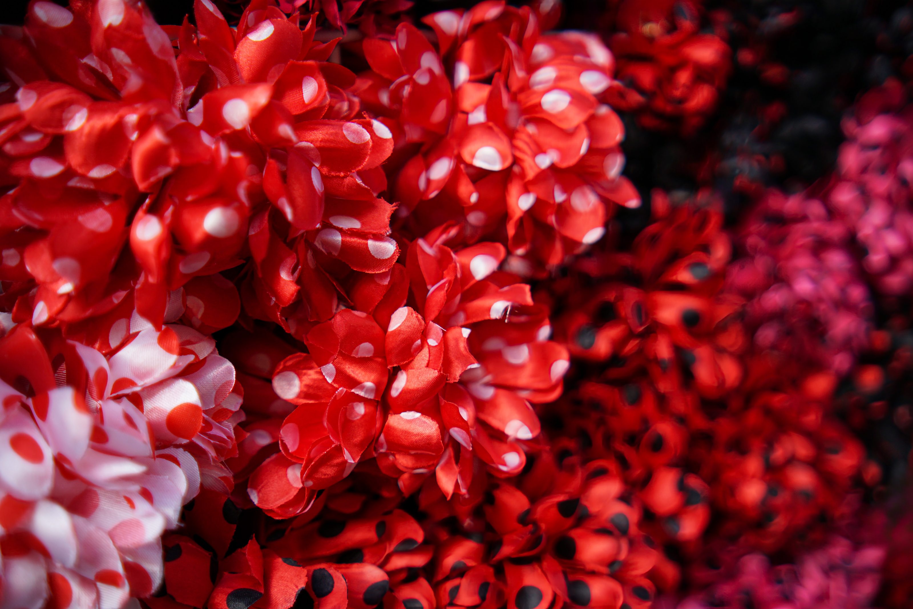 A close-up image of vibrant red fabric flowers with white polka dots. The flowers are densely packed, creating a rich and colorful texture.