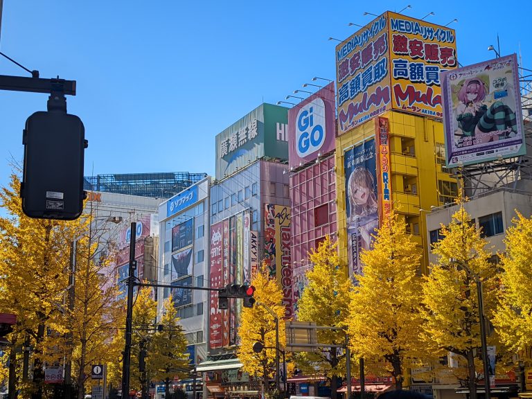 Building in Akihabara, Japan with Anime designs, billboard and signages