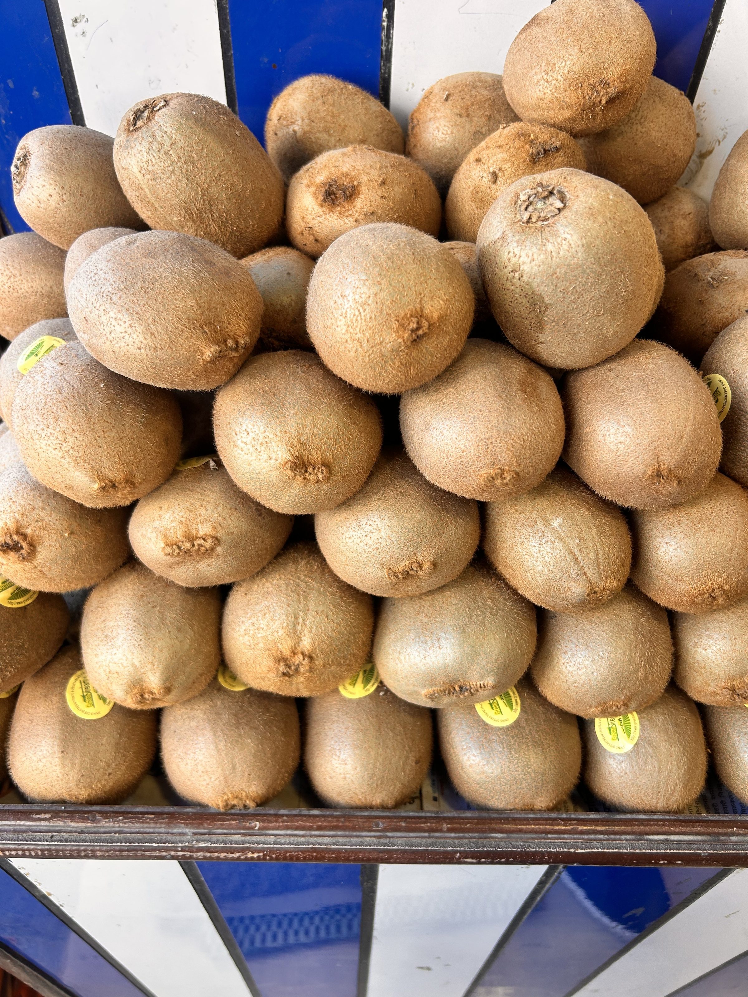 A close-up view of a large pile of kiwis stacked neatly on a display shelf. The kiwis have a brown, fuzzy exterior and some have small round stickers on them. The background shows alternating blue and white stripes.