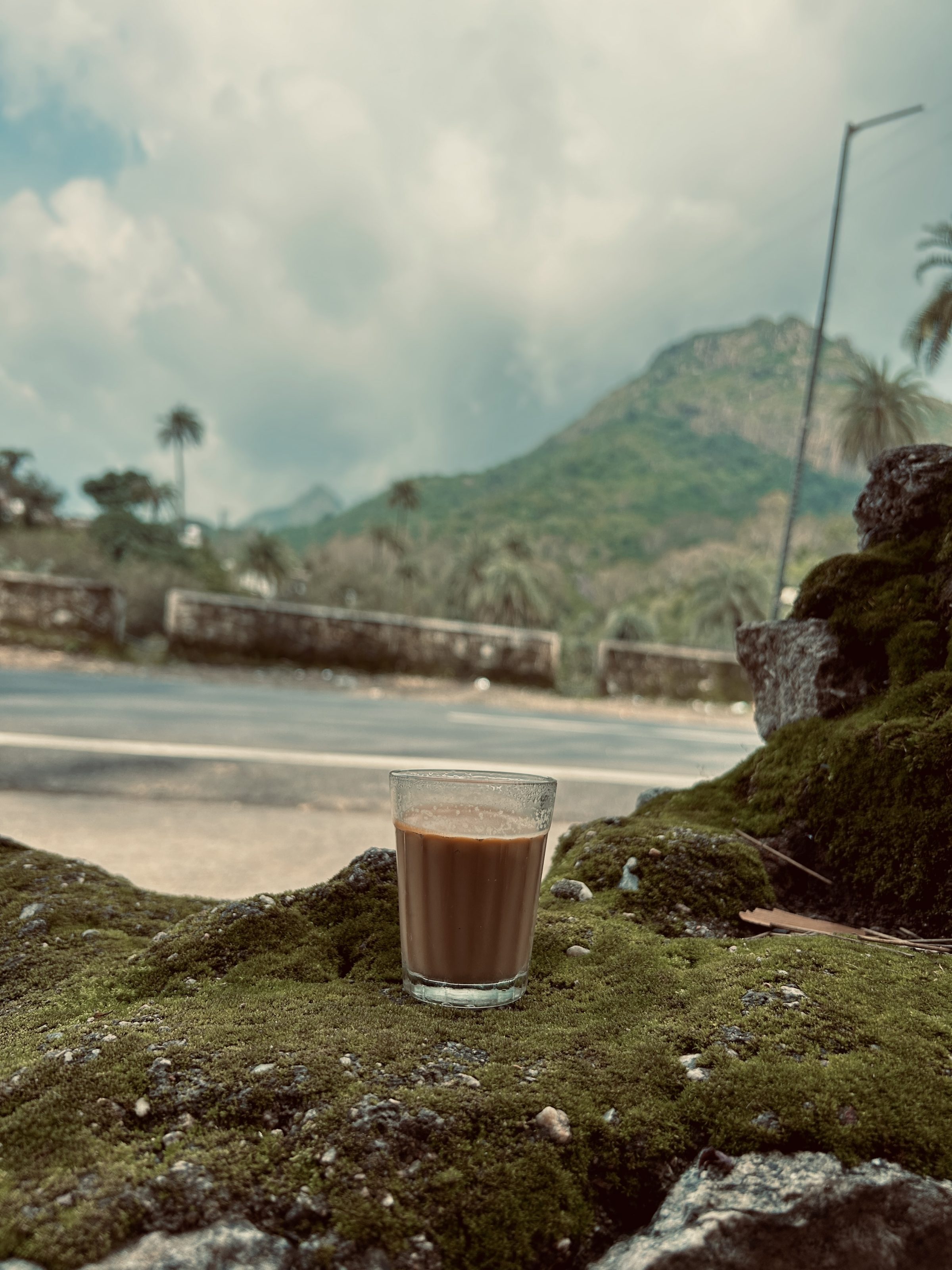 A glass of tea placed on a moss-covered rock in the foreground, with a scenic background of a road, trees, and a mountain under a cloudy sky.
