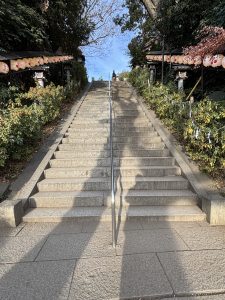 A stone staircase leads upward, flanked by green shrubs and traditional lanterns with decorative covers. A handrail runs along the center of the stairs.