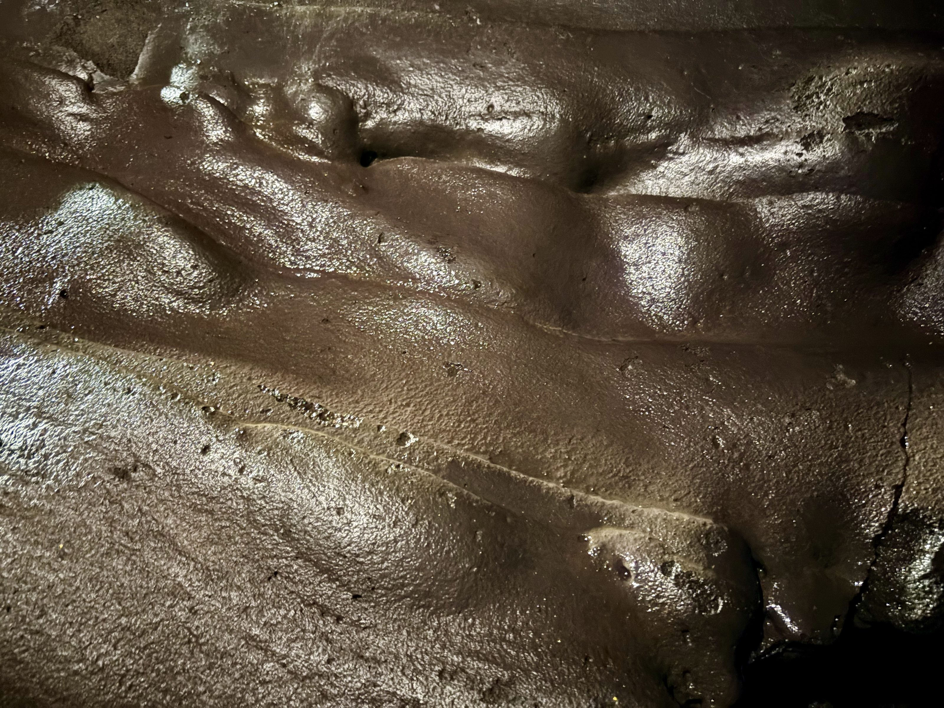 A smooth brown cave floor.