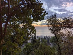 Sunset over the ocean, framed by lush green trees in the foreground. The sky is partly cloudy with hints of orange and blue