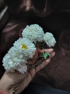 A hand holding a small bouquet of white chrysanthemums with a dark background