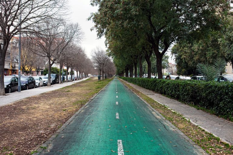 A vibrant green bike path flanked by lush greenery on one side and bare trees on the opposite side