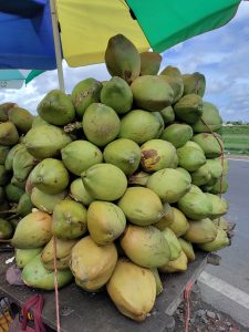 A large stack of green coconuts piled under colorful umbrellas, next to a road with a cloudy sky in the background.