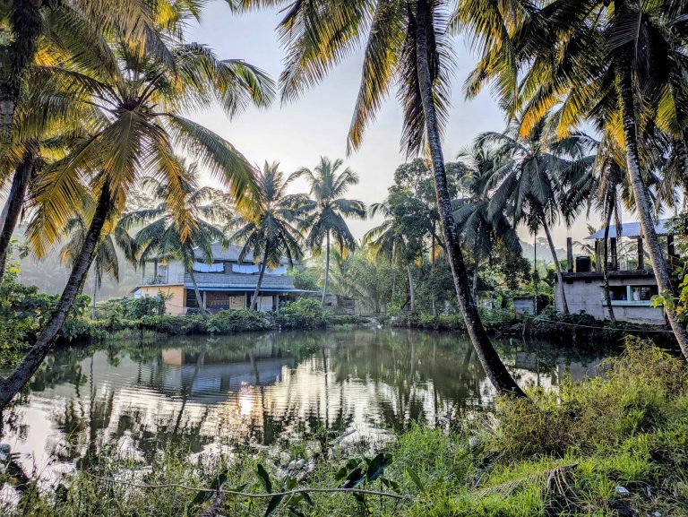 A house inside coconuts and pond.