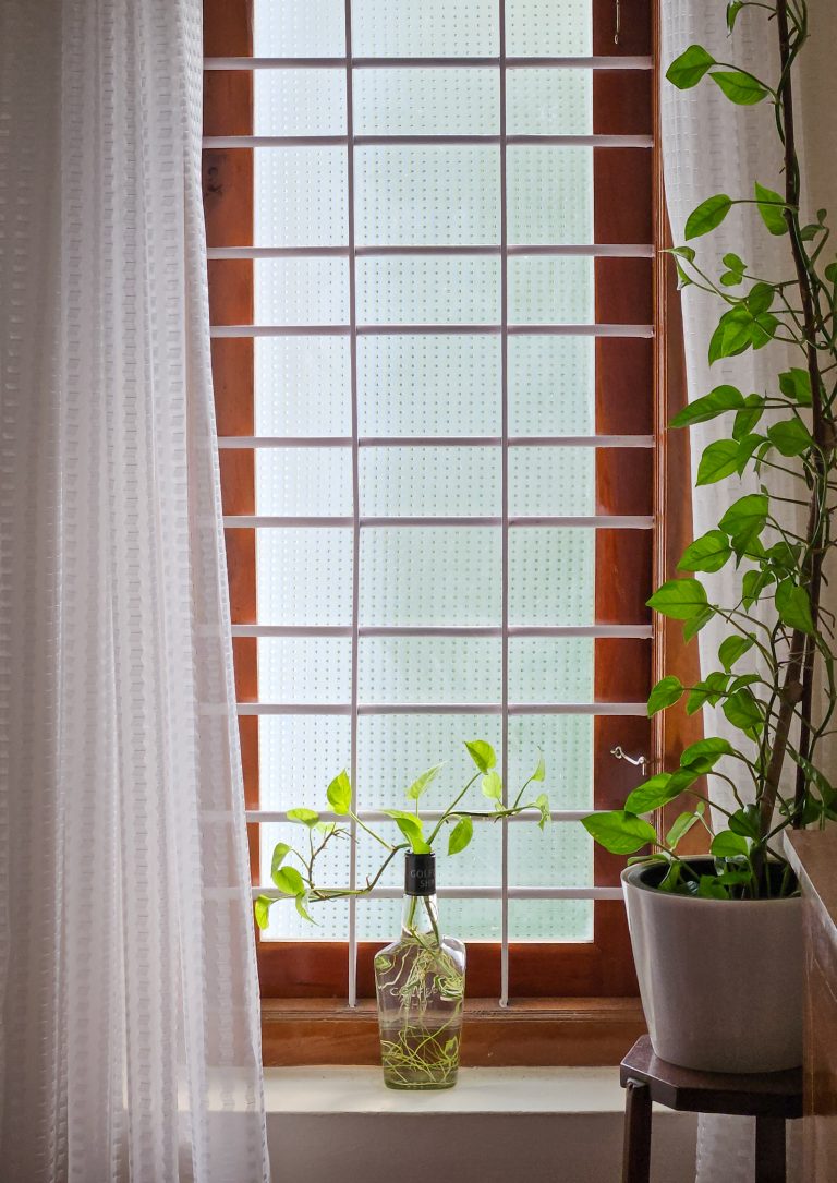 A wooden window with a gridded glass pane allows diffused light into the room. A plant cutting is placed in a repurposed glass bottle on the windowsill, and a potted plant on a small table stands beside white curtains, creating a serene indoor greenery setting