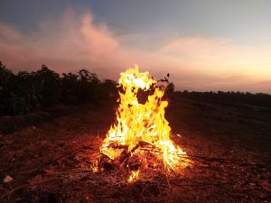 A campfire burning brightly on a field at dusk, with a motorcycle in the background and a clear sky transitioning from pink to blue.