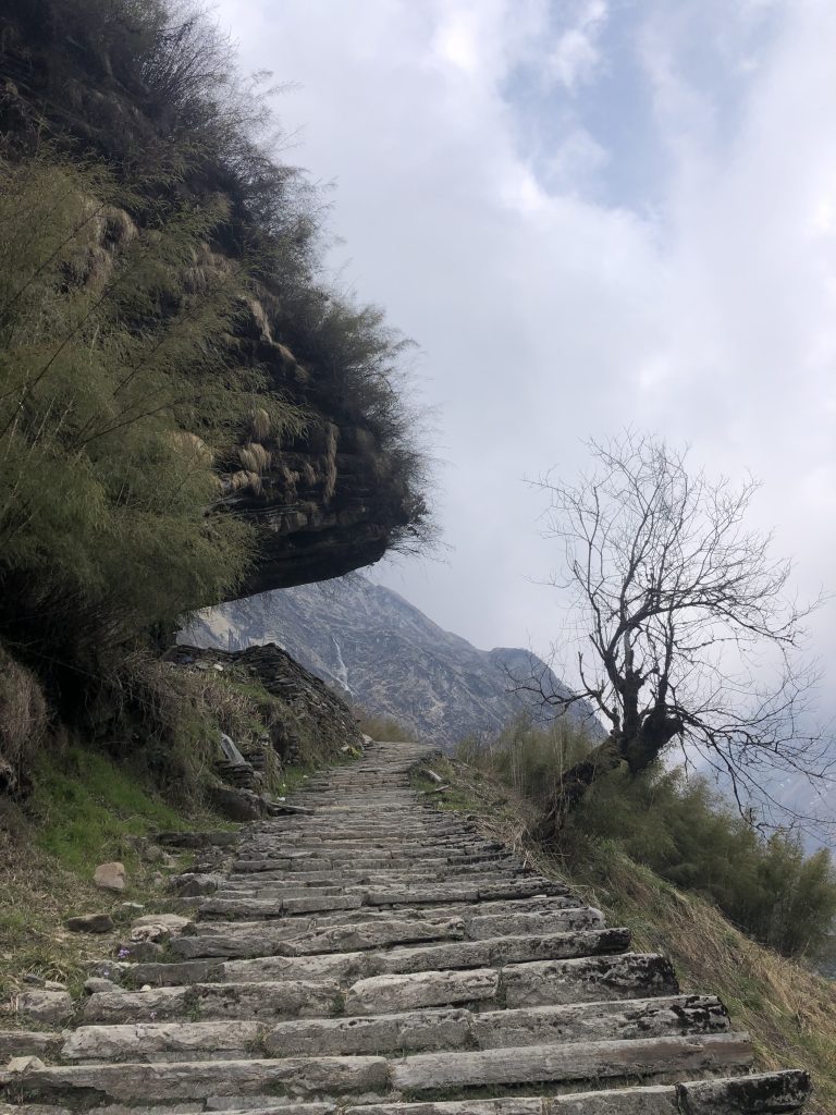 A stone pathway leads up a mountain with lush greenery on the left and a barren tree on the right. The cloudy sky and distant mountains are visible in the background.