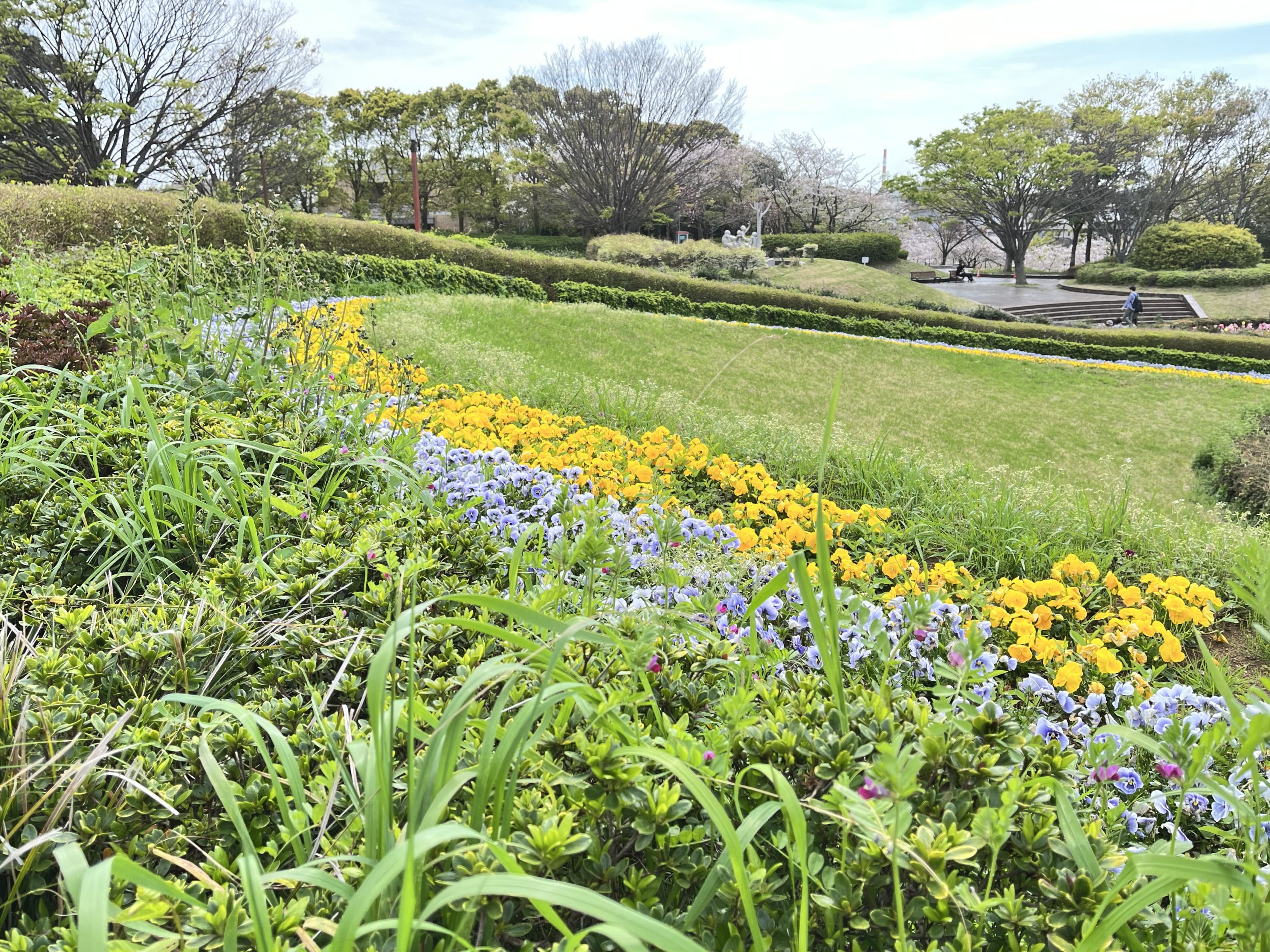 A scenic view of a landscaped park featuring neatly arranged flowerbeds with yellow and purple flowers, surrounded by green grass and shrubs. In the background, there are trees, some bare and others with leaves, under a partly cloudy sky