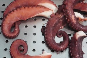 Close-up of octopus tentacles on a perforated metal surface, showing the texture and suction cups.