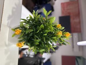 An artificial plant with vibrant green leaves and small yellow flowers arranged in a white square pot, placed indoors on a white surface with a blurred office background.