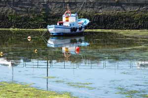 A small blue and white boat is anchored in calm, algae-filled water near a stone wall. Several buoys float nearby, and the boat's reflection is visible on the water's surface.