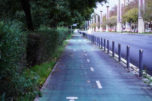 A paved bicycle lane running alongside a road, bordered by metal bollards and lined with trees and shrubs on one side. The road has several cars visible in the distance, and tall street lights are evenly spaced along the sidewalk.