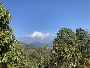 As mountain seen from between the trees.