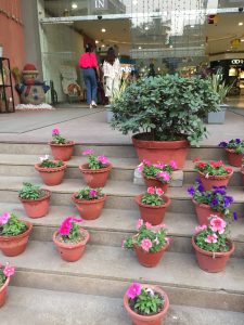 Potted flowers in pink, purple, and red are arranged on concrete steps leading to the entrance of a shopping mall. Two people are entering the building through glass doors. 