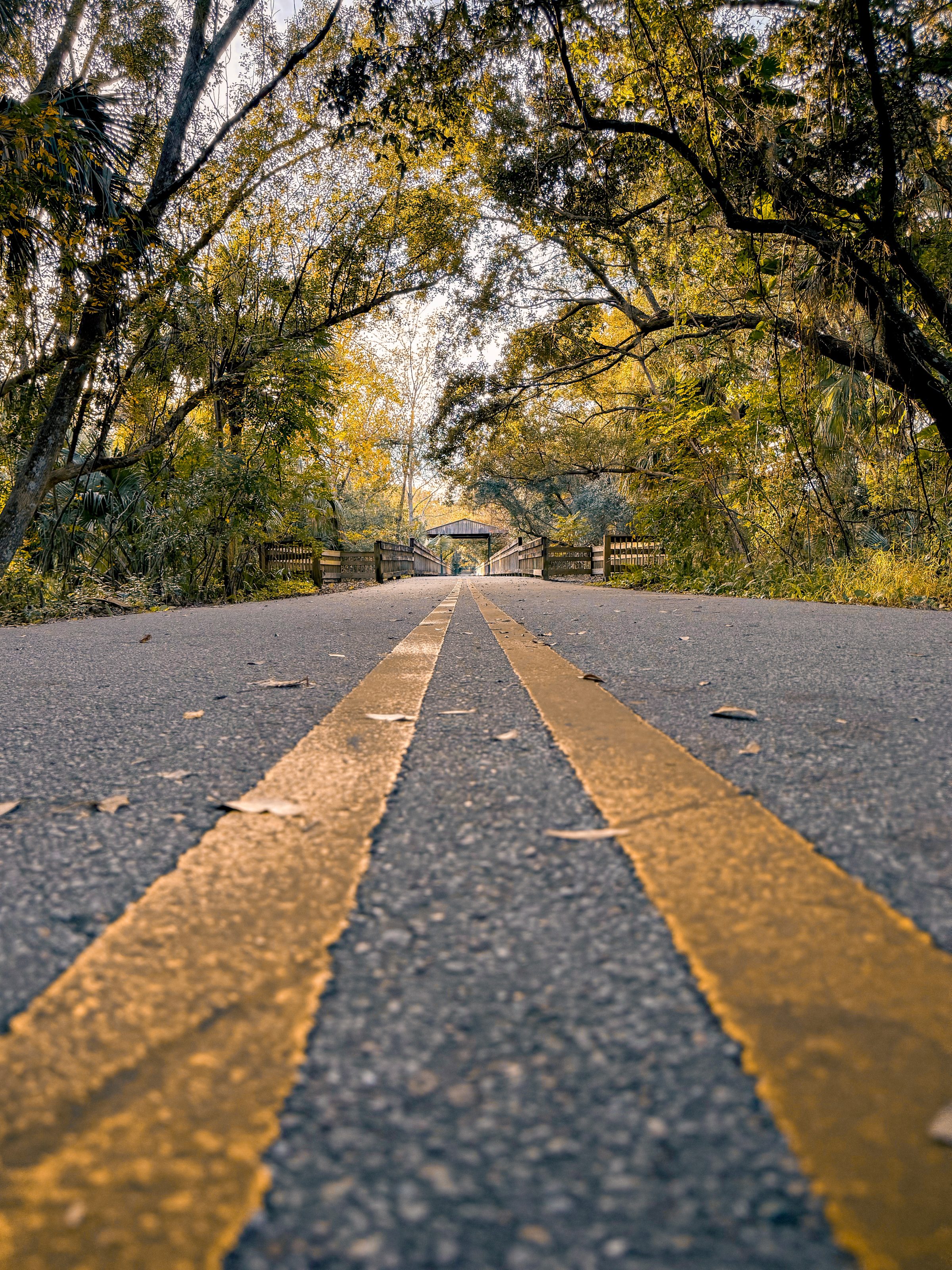 A low-angle view of a walking trail with double yellow lines running down the center, flanked by lush trees arching overhead. The paved trail leads to a wooden bridge in the distance, with sunlight filtering through the leaves, creating a serene and inviting scene.