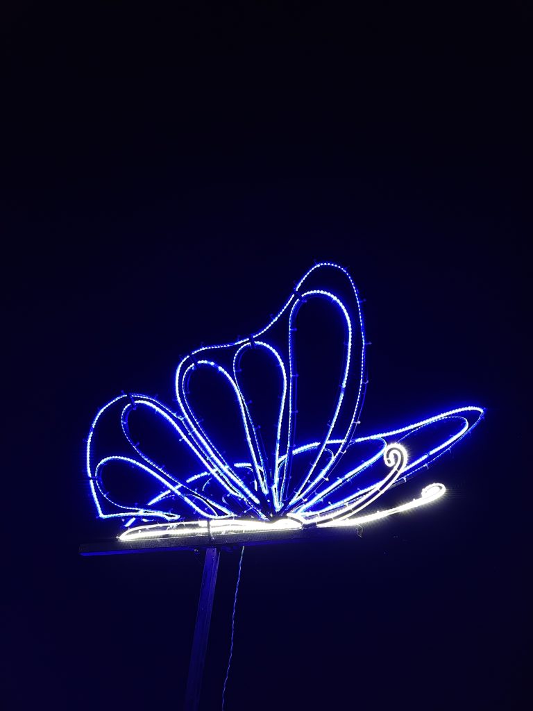 A neon light sculpture of a butterfly glowing in blue and white against a dark background.