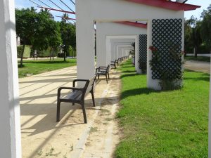 A pathway with several benches is lined by a series of white pergola structures, sunlight has created shadows. The pergolas have lattice panels with climbing plants and red flowers. The pathway is bordered by neatly trimmed grass and lush trees in the background.