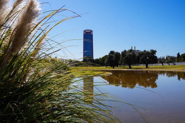 Tall grasses in the foreground with a reflective pond and a modern cylindrical skyscraper (Torre Sevilla) in the background, against a clear blue sky.