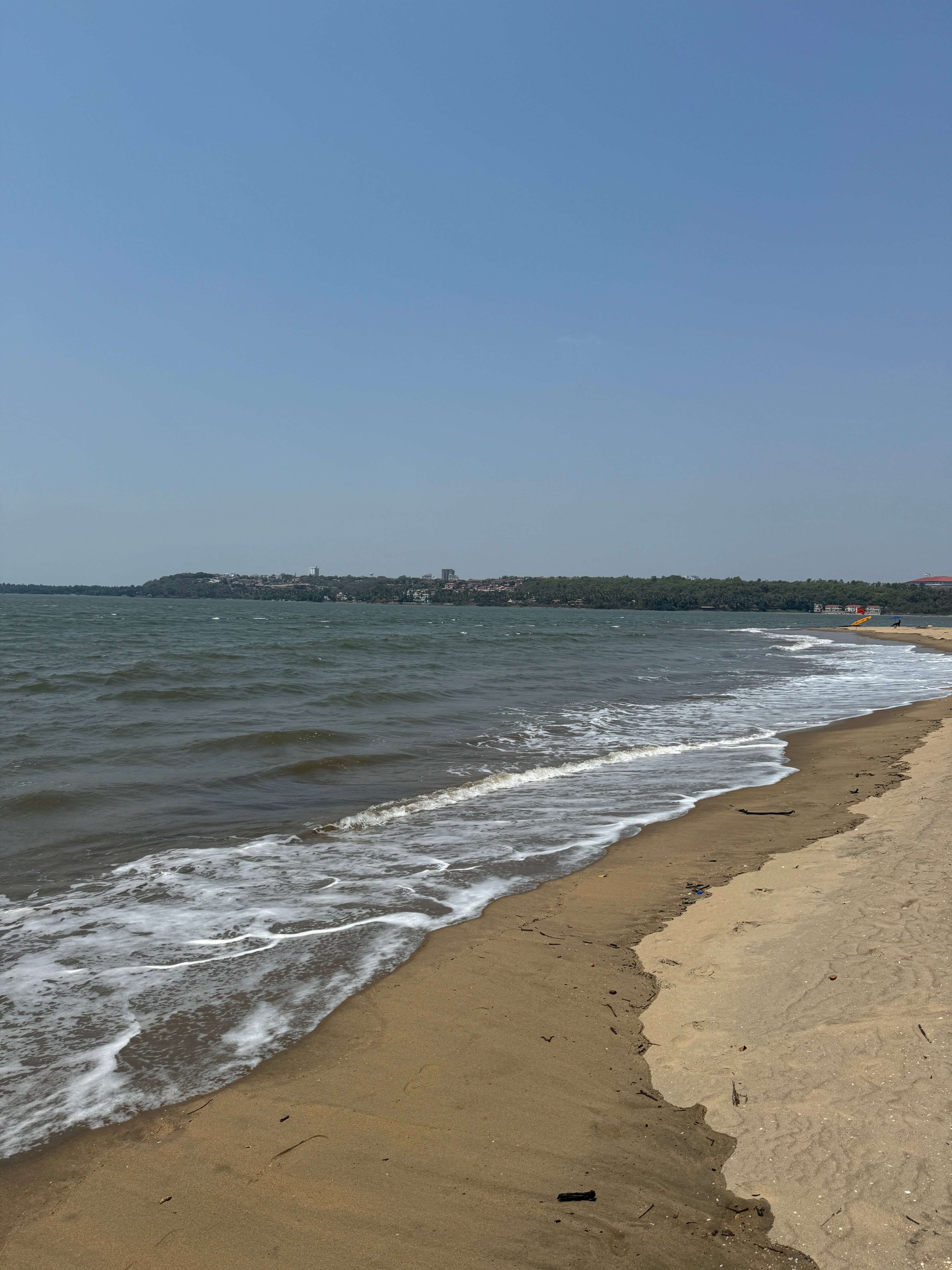 A sandy beachfront with waves washing up on the shore. The water is greenish-gray and choppy. In the distance, across the water, there's a tree-lined shoreline with urban development visible through the foliage. The beach appears natural with some scattered debris along the sand.