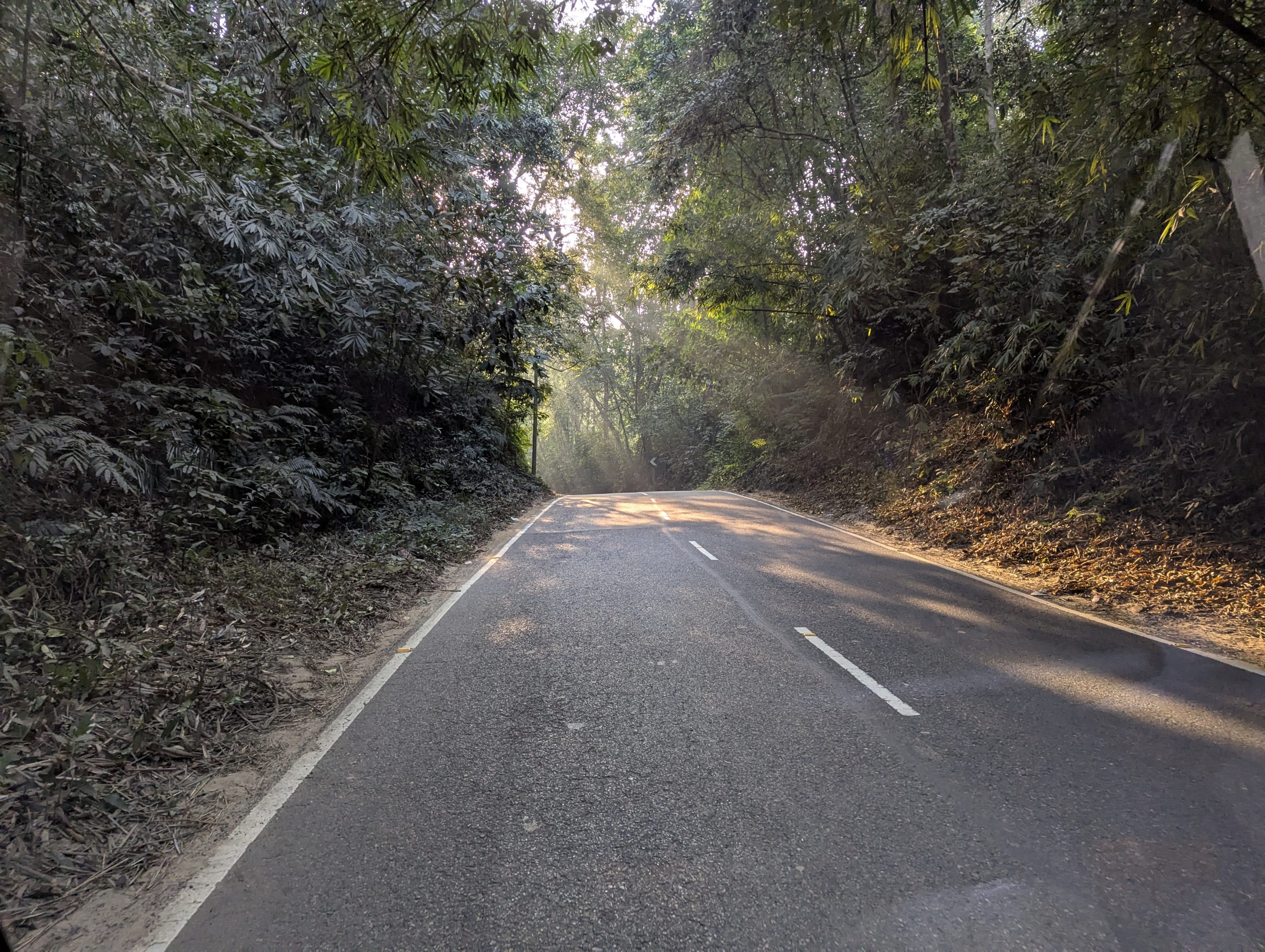 A narrow road surrounded by dense green foliage, with sunlight streaming through the trees, creating a serene, natural atmosphere.