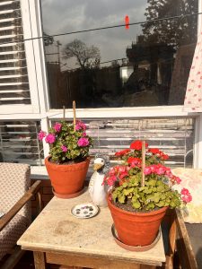 A patio scene with two terracotta pots containing vibrant pink and red flowering plants on a tiled table. A decorative bird statue is placed between the pots. 