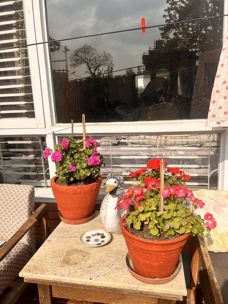 A patio scene with two terracotta pots containing vibrant pink and red flowering plants on a tiled table. A decorative bird statue is placed between the pots.