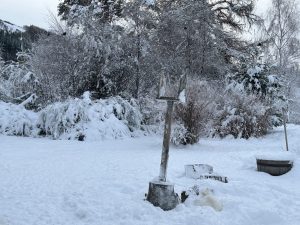 White cat crouched in the snow beneath a roofless bird table in an entirely snow cover garden.