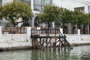 A waterfront view of a building with large glass windows and a patio shaded by orange trees bearing fruit. A wooden staircase leads from the water to the patio area, bordered by a railing. 